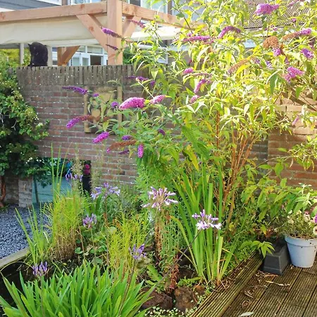 Semesterbostad Nice In W/ 3 Bedrooms Castricum